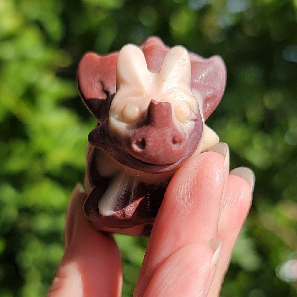 (CHIPPED) NEW 1.5" x 2.5" CHOCOLATE CALCITE TRICERATOP